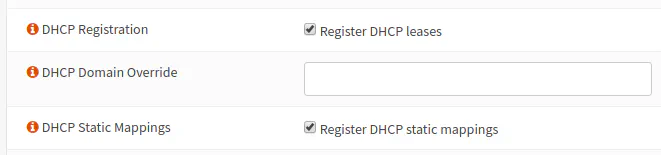 OPNsense Unbound DHCP Settings