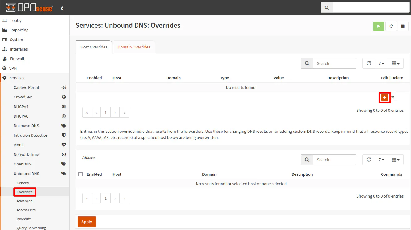 Create Unbound DNS Override
