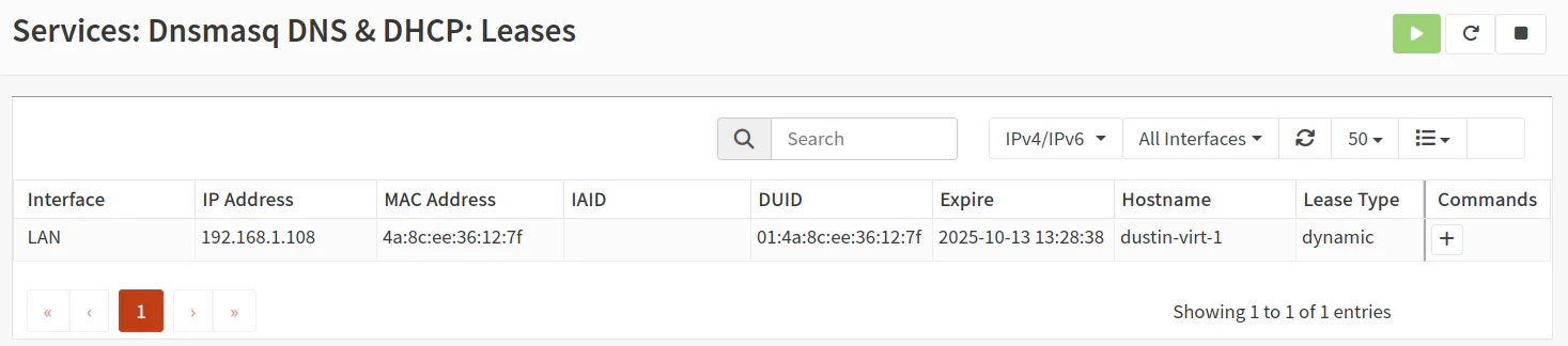 Dnsmasq Leases
