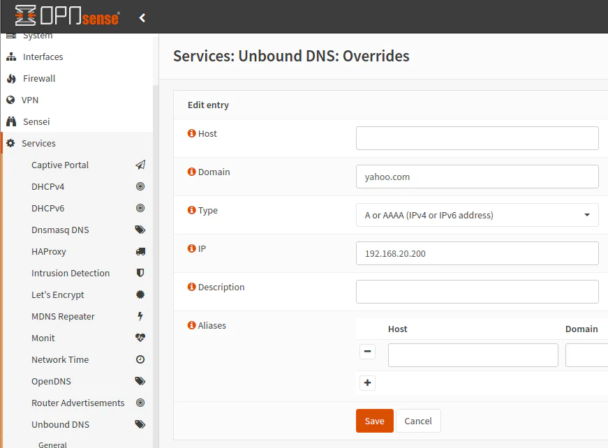 DNS Override