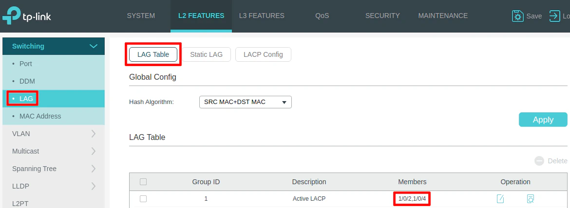 TP-Link LAG Verification
