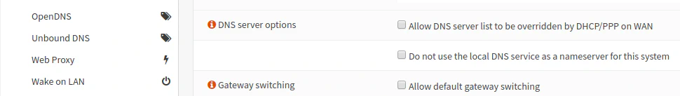 General Settings DNS Options